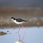 天天摸天天摸天天天天看 08f7bqa