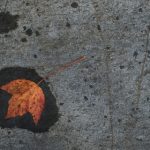 自拍视频国产三级 0v61jt4o