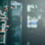 成熟妇女性成熟妇女性色 0zkgf