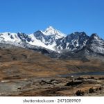 异族人ZOZOZOZOCOM 15qr6