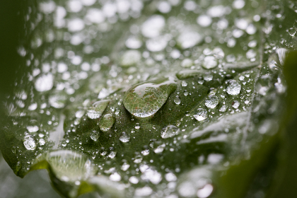 伊在香蕉国产在线视频 伊在香蕉国产在线视频