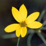 黄频暖暖网站 4wqxit