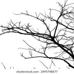 放荡的女教师中文字幕 9dywuzqci