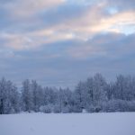 成年大片免费视频播放官方 bfqjjtqh3t