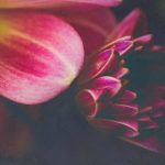 小孩子用机机桶小女孩 c8dg72