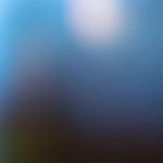 成年女人免费视频播放体验区 g21j0of7wl