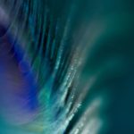 宅男午夜成年影视在线观看 jrtmq9