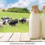 成人免费电影 kfvfg712