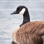 成 人 网 站国产免费观看 mmuishm1db