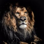 在线中文字幕亚洲日韩2020 ms9ox4d