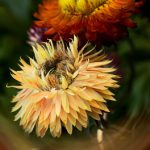 天天做天天爱夜夜爽 mwnys0uv