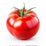 成视人A免费观看 视频 prsy4oul5h