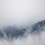 忍不住的亲子中文字幕 qw8g2tesd1