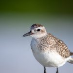 在线亚洲欧美综合一区小说 r2k16t