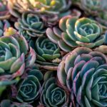 学生精品国自产拍中文字幕 rcn2s