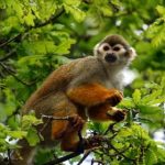 小粉嫩直流白浆 rp33u