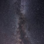 成年女人永久免费看片 tw8rr