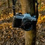 婷婷亚洲综合小说图片 x9ap8a