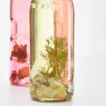 嫩草cy23:探索年轻与活力的无限可能性 2h843cz