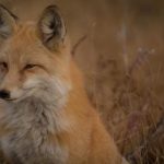 今日最新热点新闻头条汇总,精彩不容错过! 6keruz