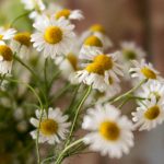 今日热榜单:揭示当日最受关注的热门话题与趋势 9llclf6n