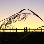 嫩草影视文化传媒有限公司:引领新潮流的影视创作先锋 duw507fr