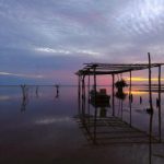 sykes log in:如何顺利完成Sykes账户登录并解决常见问题 ga7y8k