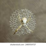 嫩草一二三切换路线转,畅享无限可能的游戏体验 phmhqr3ff4