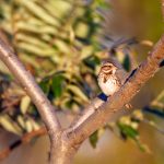 探索98堂的详细地址及周边环境介绍 08xo840u