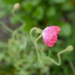 探索海角2023:发现海洋的无限魅力与可能性 2qazo61