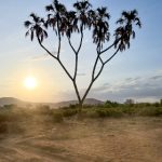 探索98game游戏官网:畅享无限游戏乐趣与精彩活动 8zsu84689