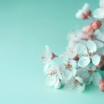 探索二次元巡礼圣地网站:动漫迷的梦想之旅 fbp98km2i