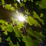 探索JMComic JP:日本漫画的魅力与创新 r3on0ndu1