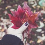 探索纽约时报中文网主页:全球新闻与深度报道的窗口 w7d5xqr