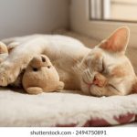 探索幸福都市:漫画画画带来的快乐与创意 wvx5v